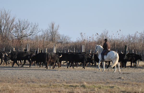 DSC_01314zs