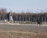 DSC_01451zs