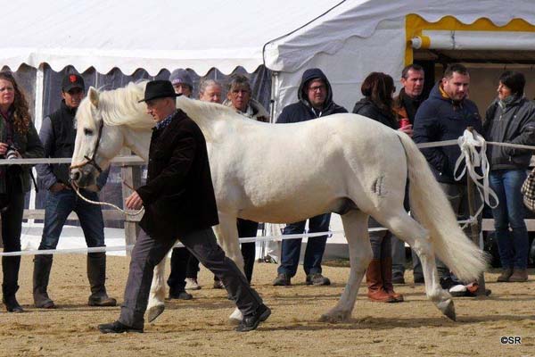 Bild7